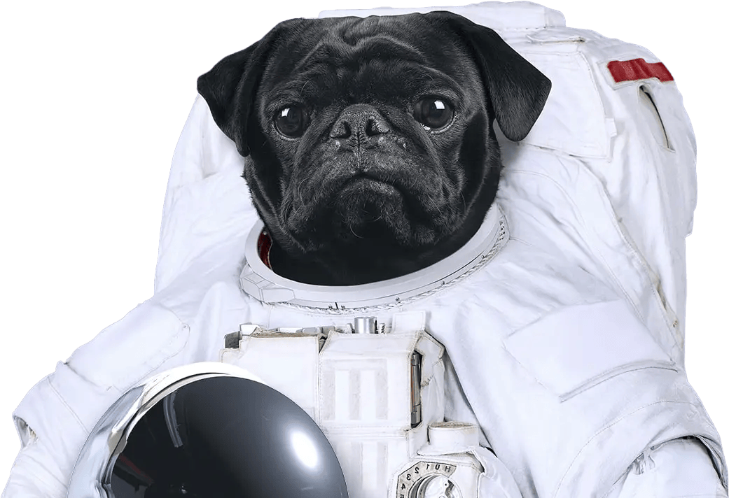 Chien astronaute Le Bon Chien