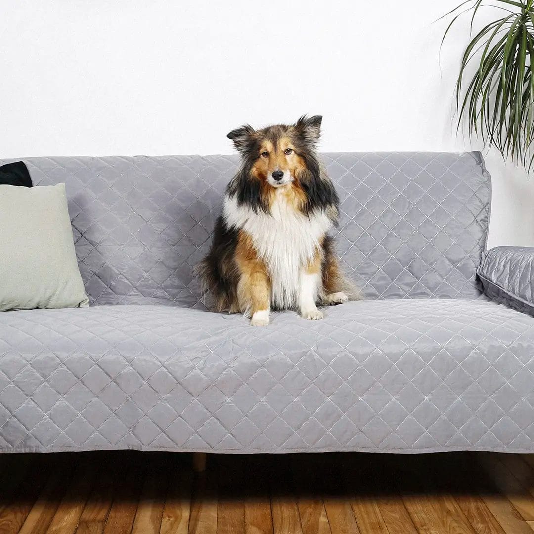 Housse protectrice pour sofa de marque Le Bon Chien