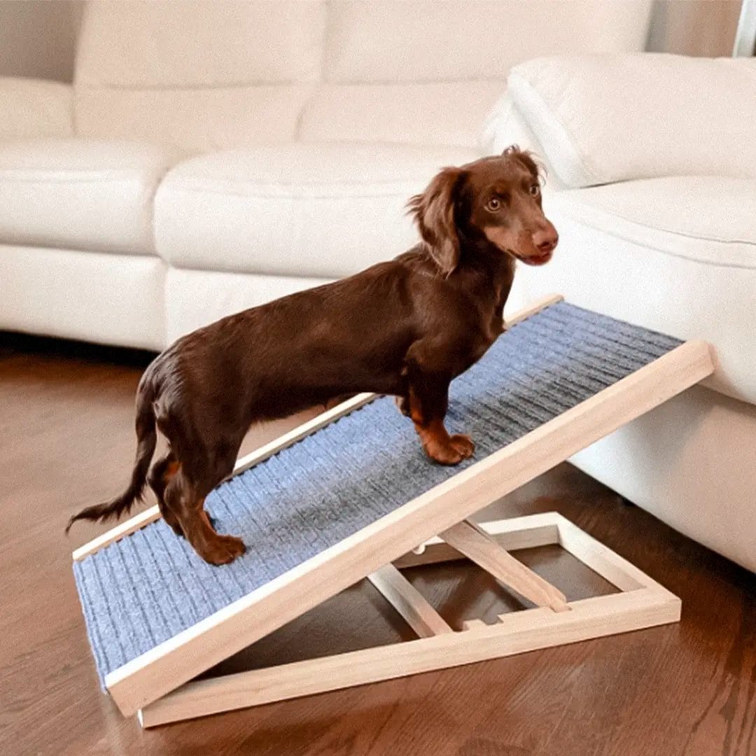 Rampe ajustable pour chiens de marque Le Bon Chien