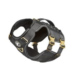 Harnais tactique Commando pour chien